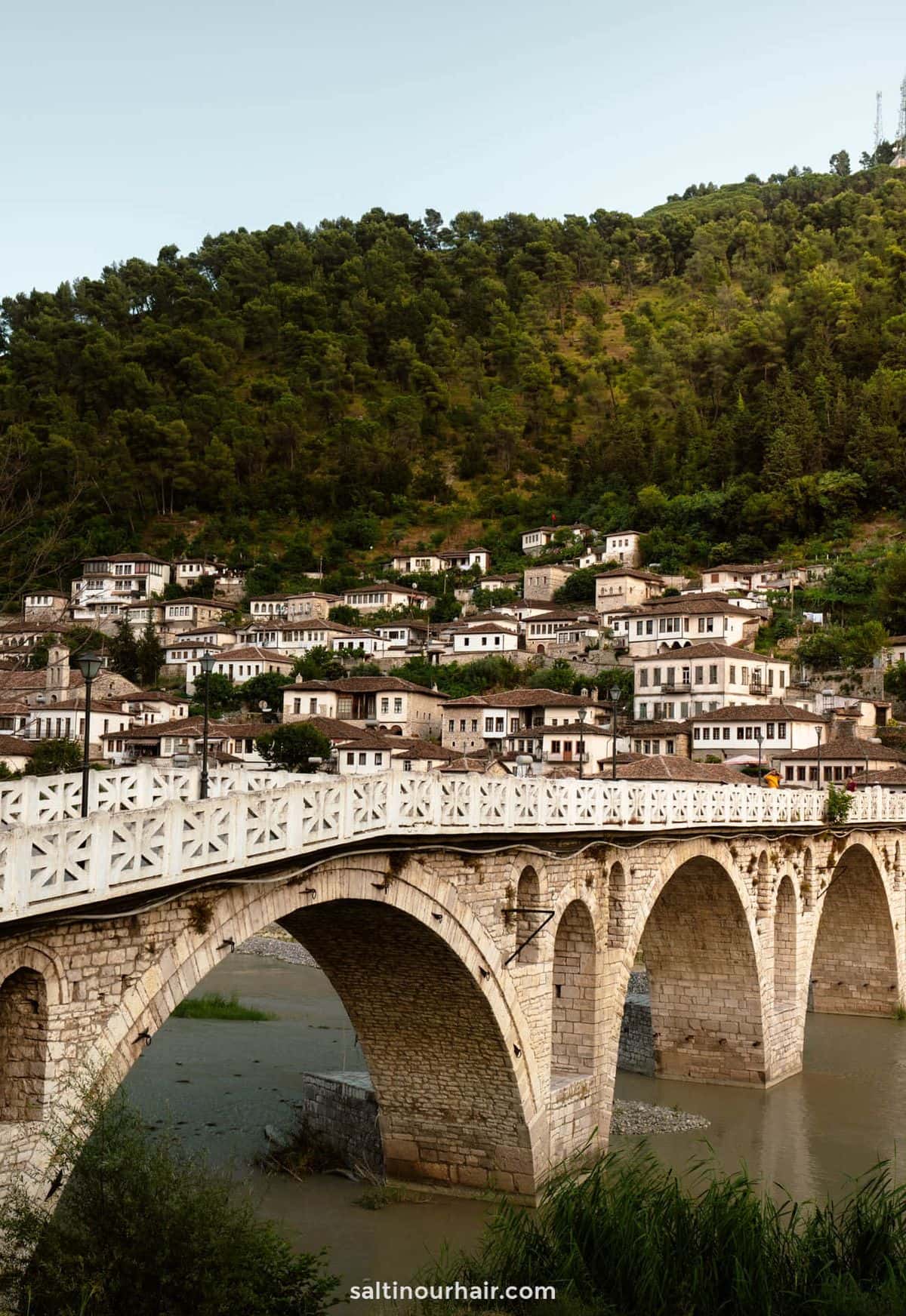 Charming hillside village with white houses and a stone bridge, showcasing scenic views and local architecture.